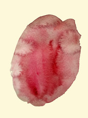 Red and pale abstract watercolor spot isolated on creamy background