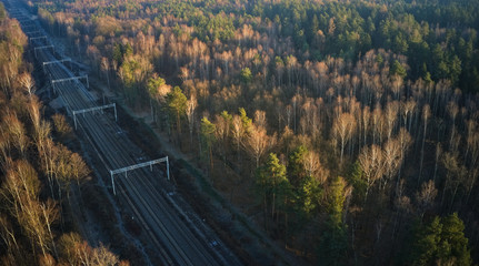 Pusta linia kolejowa wśród lasów  © nargal