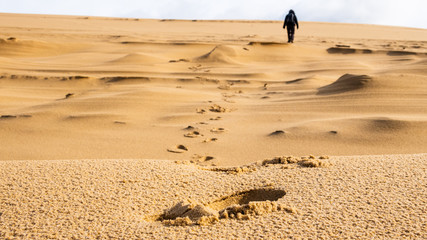 Dune du Pilat