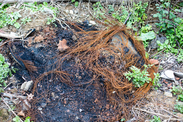 Burnt tire to the bottom
