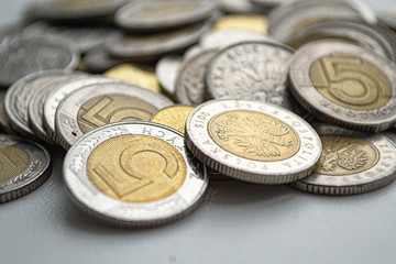 Polish zloty coins. Macro photo. Polski zloty