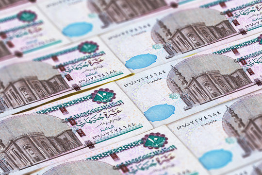 EGP. Money of Egypt. Egyptian pounds background. Macro photo