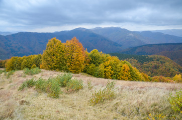 Beautiful autumn Carpathian landscape