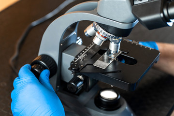 Male laboratory assistant examining biomaterial samples in a microscope. Cllose up hands in blue rubber gloves adjust microscope