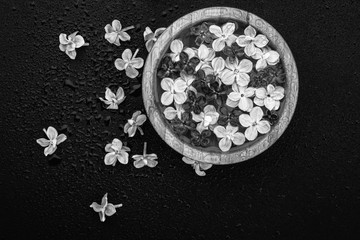 Obraz na płótnie Canvas Black and white photo fine art of floating lilac flowers in a bowl of water on a wet black background.