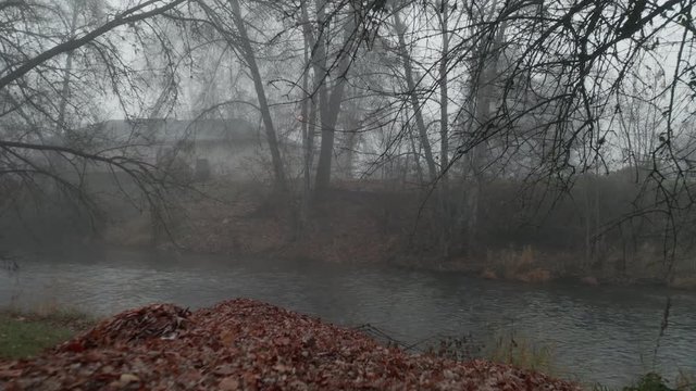 4k Aerial Shot Moving Towards Creepy Tree Over Brown Leaves and Foggy Background