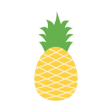 Pineapple sweet fruit vector icon illustration isolated on the background