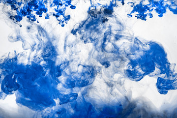 Fototapeta premium the water color ink movement explosion, abstract color background paint in water, liquid art