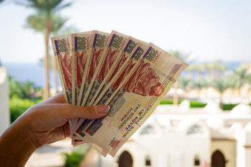 Egyptian pounds in woman hands. Money of Egypt. Summer theme - obrazy, fototapety, plakaty