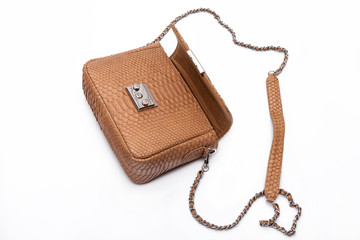 Fashion luxury snakeskin python handbag isolated on a white background.