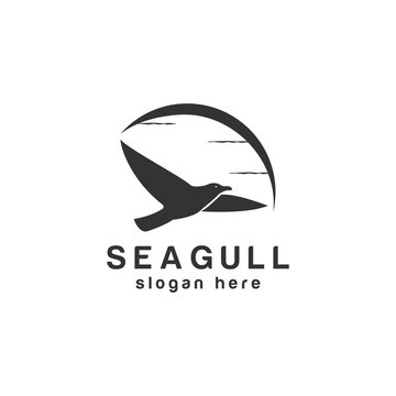 seagull bird logo design