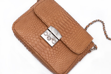 Fashion luxury snakeskin python handbag isolated on a white background.