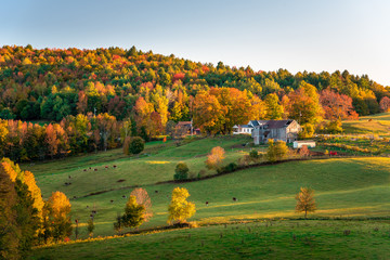 Farm and pastureland in a colourful autumnal landscape at sunset. Gorgeous autumn colours. Woodstock, VT, USA.