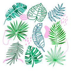 Tropical leaves collection. Vector exotic jungle elements isolated on the white. Summer green leaf
