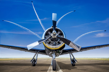 sports plane on a runway waiting for take off