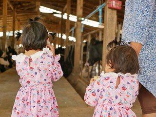 Little baby girls, sisters, visiting an organic dairy farm with her auntie - tour with the kids...
