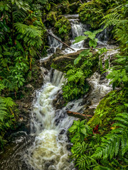 Dominica