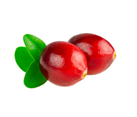Cranberries closeup. Two cranberry with leaves on white background