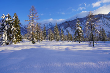 Fototapeta na wymiar Deutescher Winterwald in den Alpen