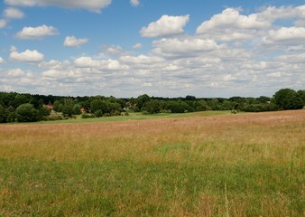 Feld und Wiese in Brandenburg