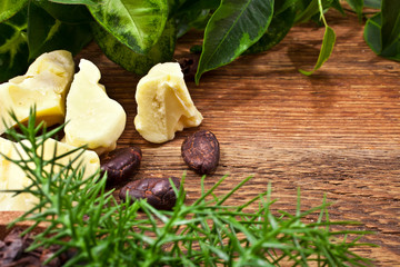 Cocoa beans and cacao butter with the green leaves on a wooden background close up. Copy space. 