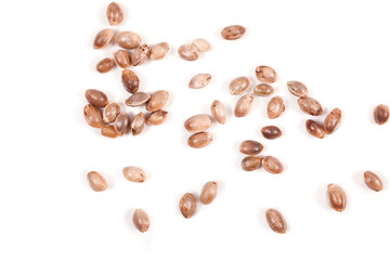 Cannabis seeds isolated on a white background.