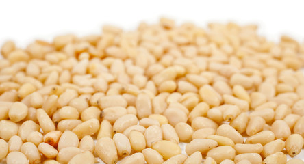 Cedar nuts on a white background.