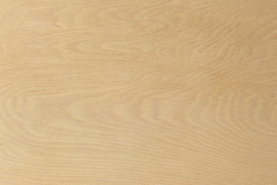 「桧」の写真素材 | 276,216件の無料イラスト画像 | Adobe Stock