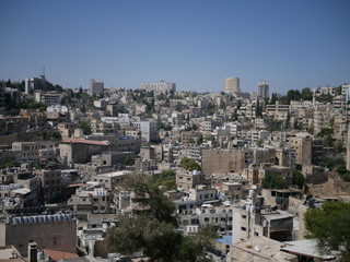 Fototapeta na wymiar Cityscape of Amman, capitol of Jordan, grey panorama of a modern arabic city with improvised houses on a hill between few green trees under the blue sky