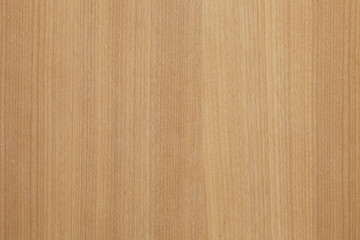 Naklejka premium サクラ