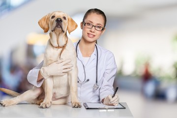 A beautiful young veterinarian with a dog on a blurred background