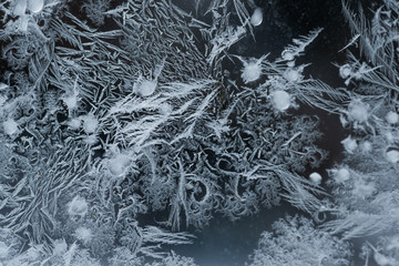 Blooming Icicles in B&W