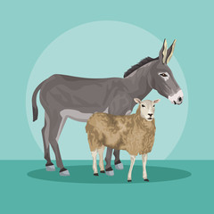 donkey and sheep animals farms