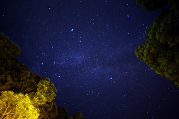 Fototapeta na wymiar Beautiful starry night view of the high mountains of central Taiwan, paired with two towering forests