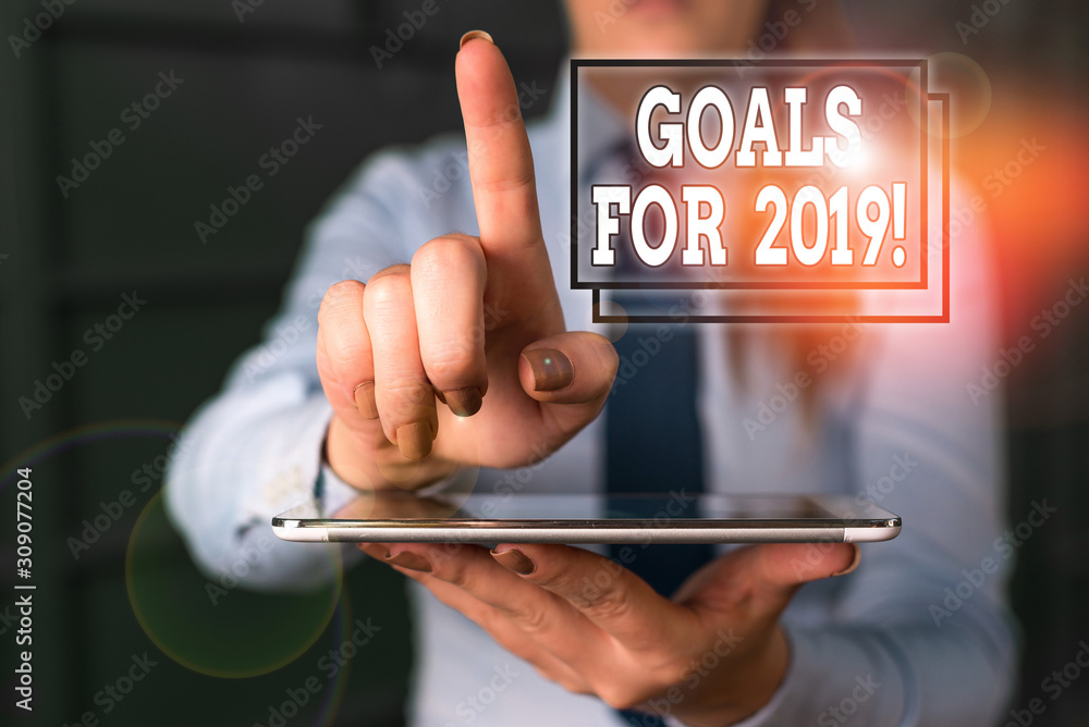 Poster word writing text goals for 2019. business photo showcasing object of demonstratings ambition or eff