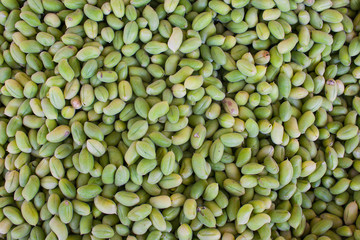 Kichererbsen - Guasanas