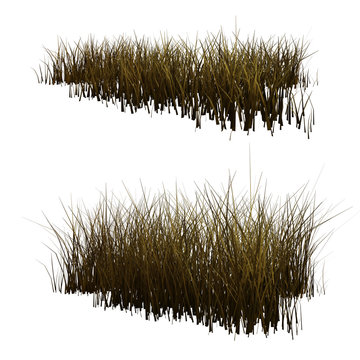 Patches Of Dry Grass Isolates On White, 3d Render.