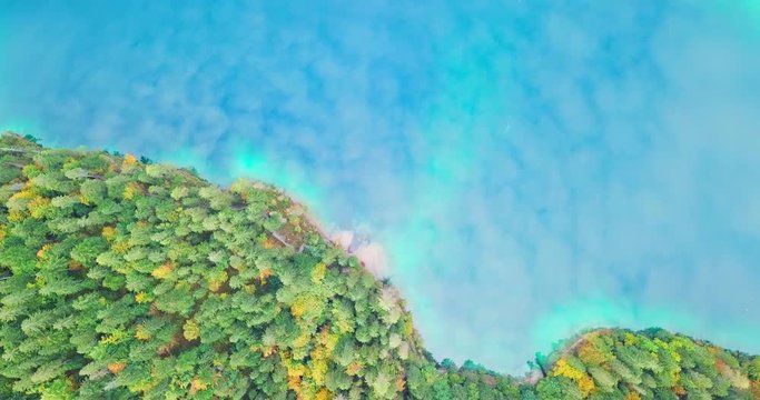  Vista aerea della natura, acqua e foresta si incontrano tra le montagne