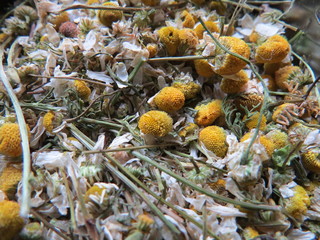 dried chamomile for tea preparation