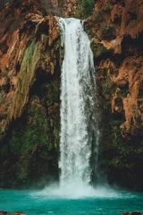 Fototapete waterfall in the forest © Hamilton
