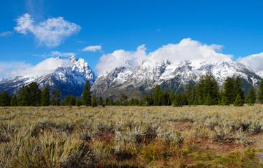 Fototapeta na wymiar The beauty of September in the Tetons shows changing colors in the meadows and snow on the mountains.