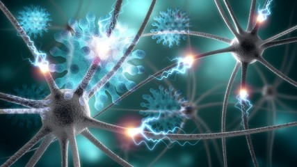 Nerve cell.