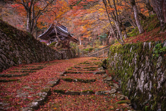 5 Best 百済寺 Images Stock Photos Vectors Adobe Stock 5 Best 百済寺 Images Stock Photos Vectors Adobe Stock