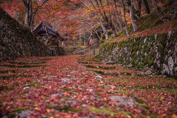 滋賀県 百済寺 紅葉