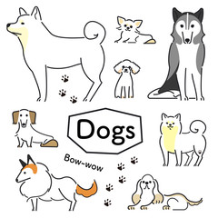 犬　ポーズ　表情　セット