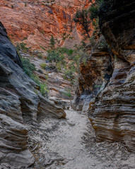 Canyon Colors In Wash