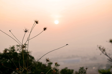 Landscape photo of morning sky