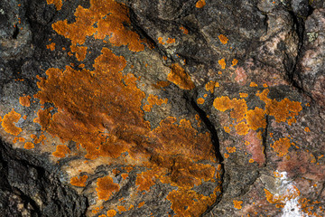 A rock surface showing details of crystals and erosion