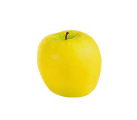 Apple Golden Delicious with water droplets