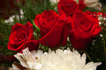 Bouquet of fresh roses, flower bright background